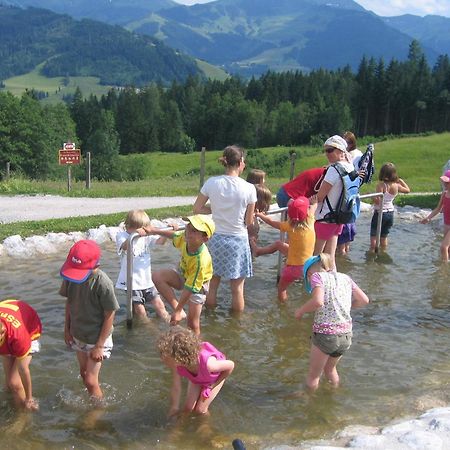 Haus Sommerstein Maria Alm am Steinernen Meer Exterior foto