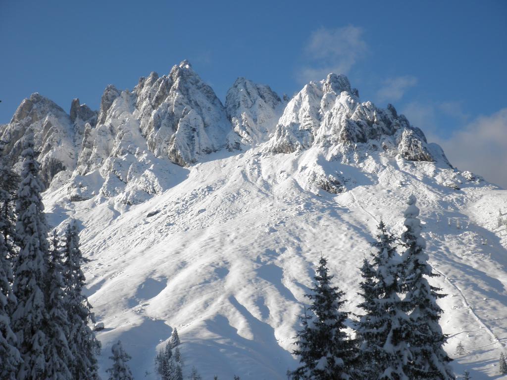 Haus Sommerstein Maria Alm am Steinernen Meer Exterior foto